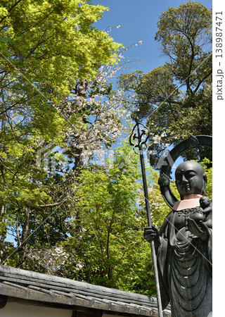 春の退蔵院 水子地蔵とサクラ(京都市右京区) 春の退蔵院 水子地蔵とサクラ(京都市右京区) 138987471