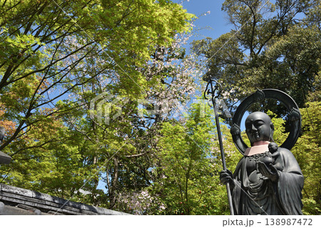 春の退蔵院 水子地蔵とサクラ(京都市右京区) 春の退蔵院 水子地蔵とサクラ(京都市右京区) 138987472
