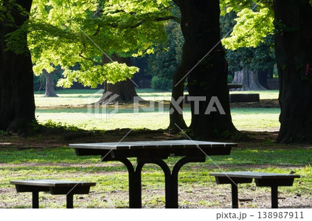 光が丘公園の新緑と木漏れ日に包まれた休憩スペース（テーブルとベンチ） 138987911