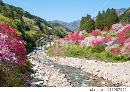 阿智村・花桃の里 138987933