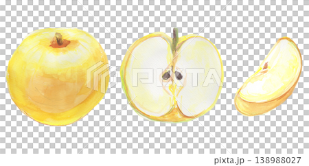 用水彩畫的梨的插圖 138988027