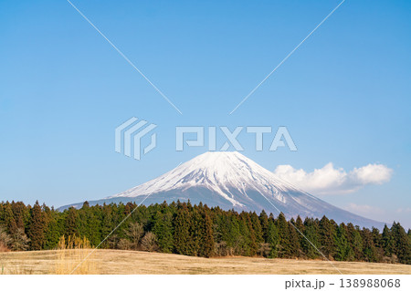 快晴の春の草原と富士山（令和7年3月） 138988068