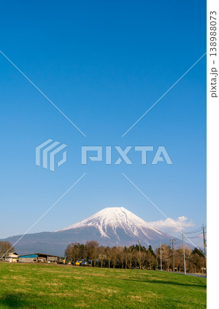 快晴の春の草原と富士山(令和7年3月) 快晴の春の草原と富士山(令和7年3月) 138988073