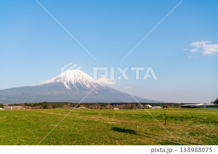 快晴の春の草原と富士山(令和7年3月) 快晴の春の草原と富士山(令和7年3月) 138988075