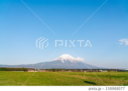 快晴の春の草原と富士山（令和7年3月） 138988077