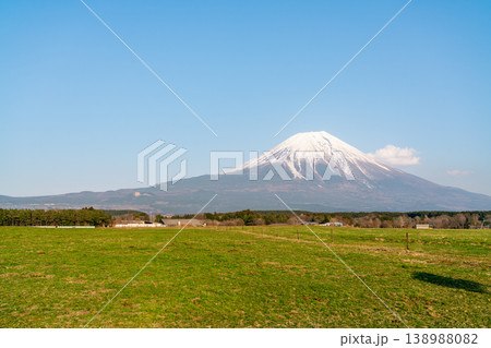 快晴の春の草原と富士山(令和7年3月) 快晴の春の草原と富士山(令和7年3月) 138988082