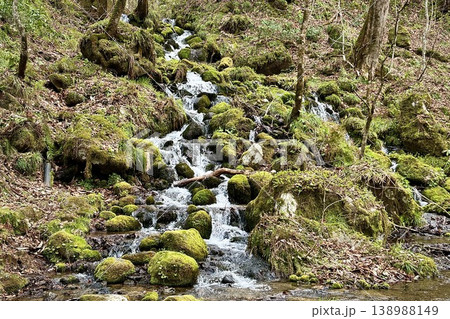 奥入瀬渓流の苔に覆われた岩肌を流れる神秘の小滝 138988149