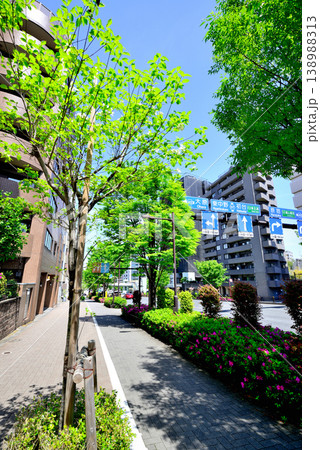 東京　渋谷区代々木上原　ハナミズキの綺麗な閑静な高級住宅街 138988313