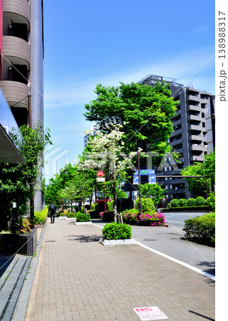 東京 渋谷区代々木上原 ハナミズキの綺麗な閑静な高級住宅街 東京 渋谷区代々木上原 ハナミズキの綺麗な閑静な高級住宅街 138988317