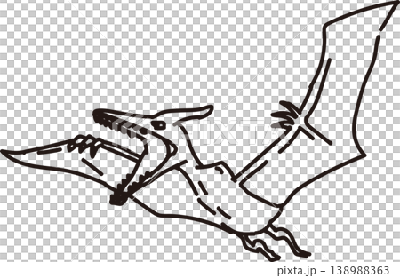 プテラノドン_フラット線画イラスト 138988363