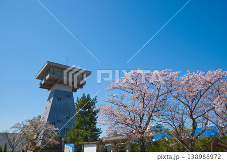 青空と桜に映える富山港展望台の春景色 青空と桜に映える富山港展望台の春景色 138988972