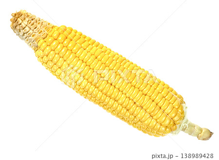 Fresh yellow corn cob isolated. High quality ripe sweetcorn with bright golden kernels. Organic vegetable food ingredient for healthy cooking and agricultural concepts. 138989428