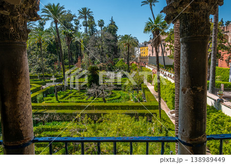 Formal Palm Garden 138989449