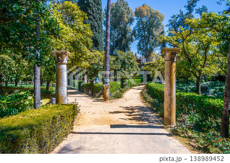 Formal Palm Garden 138989452