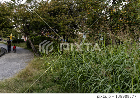 初秋の遊歩道、父子公園で遊び帰宅する風景-3 初秋の遊歩道、父子公園で遊び帰宅する風景-3 138989577