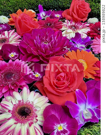 4月の色鮮やかな花手水(薔薇・ガーベラ・デンファレ・パンジー・菊)〈菅生神社/愛知県岡崎市〉 138989822