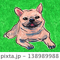 犬 138989988