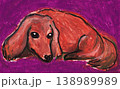 犬 138989989