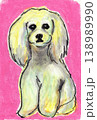 犬 138989990
