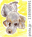 子犬 138989991