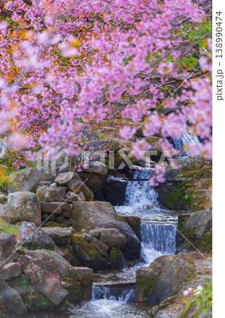 Cascading waterfall flows through mossy rocks under blooming pink cherry blossom trees Cascading waterfall flows through mossy rocks under blooming pink cherry blossom trees 138990474