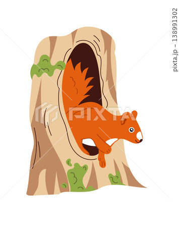 Cute red squirrel in a tree hollow, cartoon forest animal character, adorable woodland wildlife illustration, childish design, flat vector isolated on white background. Cute red squirrel in a tree hollow, cartoon forest animal character, adorable woodland wildlife illustration, childish design, flat vector isolated on white background. 138991302