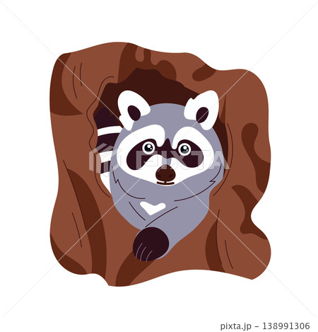 A cute raccoon peeking out from a tree hollow. Vector flat illustration, forest animal in a woodland habitat, cartoon style, wildlife clip art design. A cute raccoon peeking out from a tree hollow. Vector flat illustration, forest animal in a woodland habitat, cartoon style, wildlife clip art design. 138991306