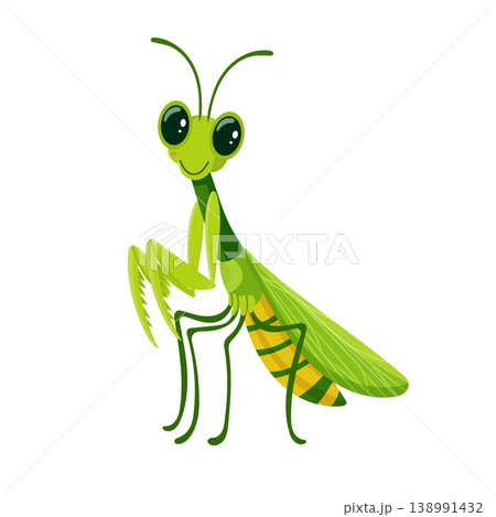 Cute cartoon praying mantis with big eyes, green insect illustration, childish design, flat vector isolated on white background. Cute cartoon praying mantis with big eyes, green insect illustration, childish design, flat vector isolated on white background. 138991432