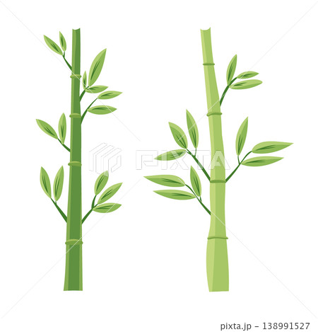 Green sugar cane stalk with leaves isolated on white background, tropical plant element, agriculture and farming concept, modern flat vector illustration Green sugar cane stalk with leaves isolated on white background, tropical plant element, agriculture and farming concept, modern flat vector illustration 138991527