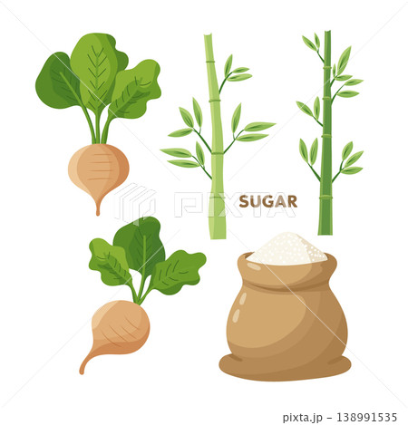 Sugar set with sugar beet roots, sugarcane stems and sugar bag, agricultural process concept, modern flat vector illustration isolated on white background. Sugar set with sugar beet roots, sugarcane stems and sugar bag, agricultural process concept, modern flat vector illustration isolated on white background. 138991535