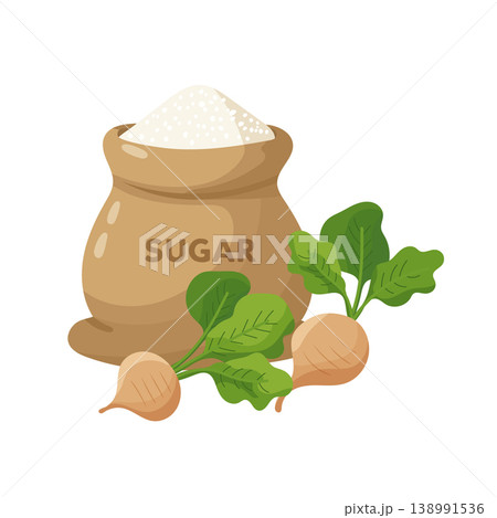 Sugar bag with white granulated sugar and fresh sugar beet, natural sweetener concept, flat vector illustration isolated on white background. Sugar bag with white granulated sugar and fresh sugar beet, natural sweetener concept, flat vector illustration isolated on white background. 138991536