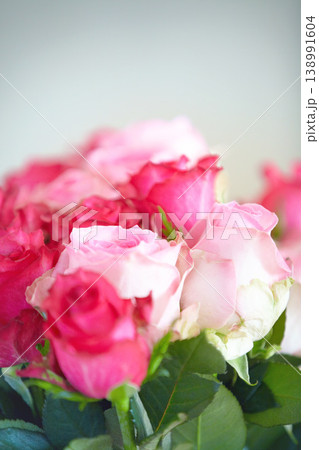 Pink roses, bouquet and closeup with leaves for present, decoration or floral arrangement for nature. Flowers, plant and gift for valentines day, birthday or prize giveaway for award, reward or party Pink roses, bouquet and closeup with leaves for present, decoration or floral arrangement for nature. Flowers, plant and gift for valentines day, birthday or prize giveaway for award, reward or party 138991604
