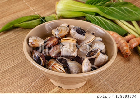 Raw fresh wild clams mollusc Raw fresh wild clams mollusc 138993534