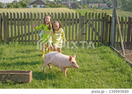 Children are running around the yard, catching up with a little pig. Raising pigs on a small farm 138993680