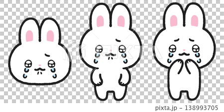 うるうるとした目で泣いている白うさぎのイラストセット 138993705