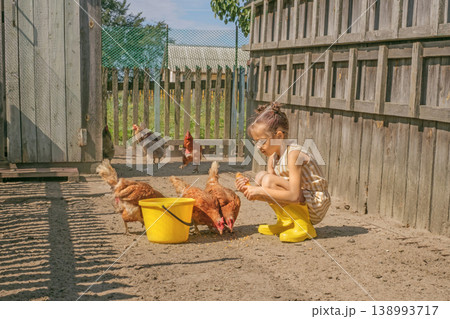 A little girl peels an ear of corn and feeds chickens on a ranch. Childhood in the countryside. A little girl peels an ear of corn and feeds chickens on a ranch. Childhood in the countryside. 138993717