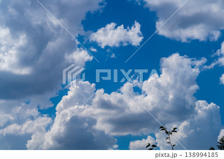 Photo of white clouds on blue sky, edges illuminated by sidelight from left. Weather phenomena, synoptic forecasts. Tree branches with green mulberry leaves are visible in foreground 138994185
