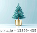 Potted evergreen. Holiday tree. Christmas tree in a garden pot on a white background. Christmas mockup. 138994435