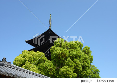 新緑の東寺 五重塔 京都市南区九条町 新緑の東寺 五重塔 京都市南区九条町 138994496