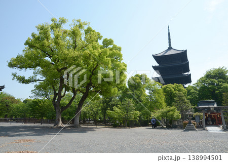 新緑の東寺 五重塔 京都市南区九条町 新緑の東寺 五重塔 京都市南区九条町 138994501