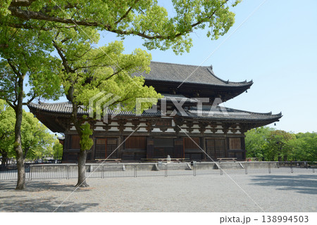 新緑の東寺　金堂　京都市南区九条町 138994503