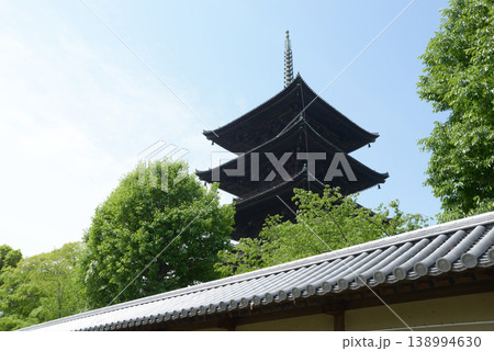 新緑の東寺 築地塀と五重塔 京都市南区九条町 新緑の東寺 築地塀と五重塔 京都市南区九条町 138994630