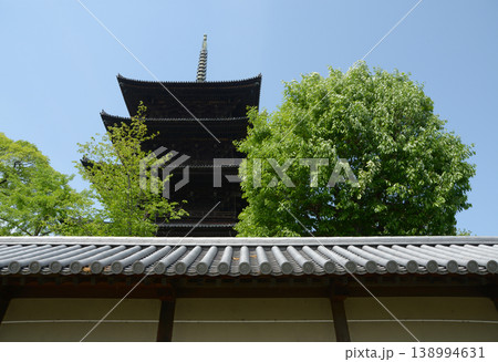 新緑の東寺 築地塀と五重塔 京都市南区九条町 新緑の東寺 築地塀と五重塔 京都市南区九条町 138994631