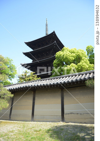 新緑の東寺 築地塀と五重塔 京都市南区九条町 新緑の東寺 築地塀と五重塔 京都市南区九条町 138994632