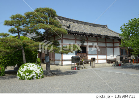 新緑の東寺 大黒堂 京都市南区九条町 新緑の東寺 大黒堂 京都市南区九条町 138994713