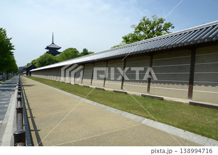 新緑の東寺　築地塀と五重塔　京都市南区九条町 138994716