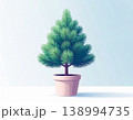 Tree in pot. Christmas tree in a garden pot on a white background. Christmas mockup. 138994735