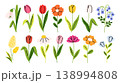 Cute set of flowers. Minimalistic icons of tulips, chamomile, snowdrop, peony, bellflower. Simple stickers of plants for creating greeting cards, posters, invitations, social media, covers, patterns. Cute set of flowers. Minimalistic icons of tulips, chamomile, snowdrop, peony, bellflower. Simple stickers of plants for creating greeting cards, posters, invitations, social media, covers, patterns. 138994808