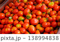 Farmer pouring tomatoes from a bucket into a wheelbarrow, harvesting tomatoes 138994838
