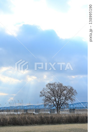 光芒が差す阿賀野川河川敷と泰平橋（新潟県新潟市） 138995190
